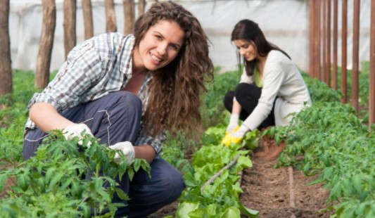 En Çok Para Kazandıran Meslekler - 10.000 TL Garantili! rahat meslekler